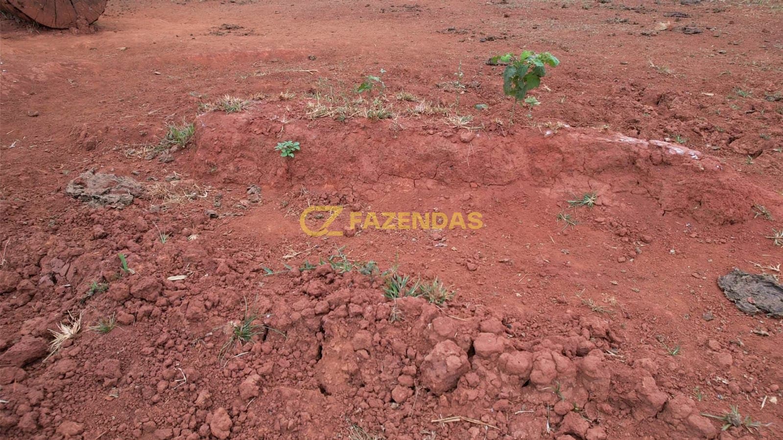 Fazenda em Juara - Foto 2