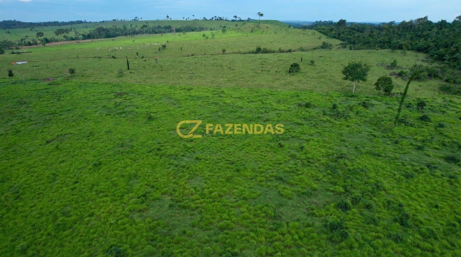 Fazenda em Apiacás - Foto 2
