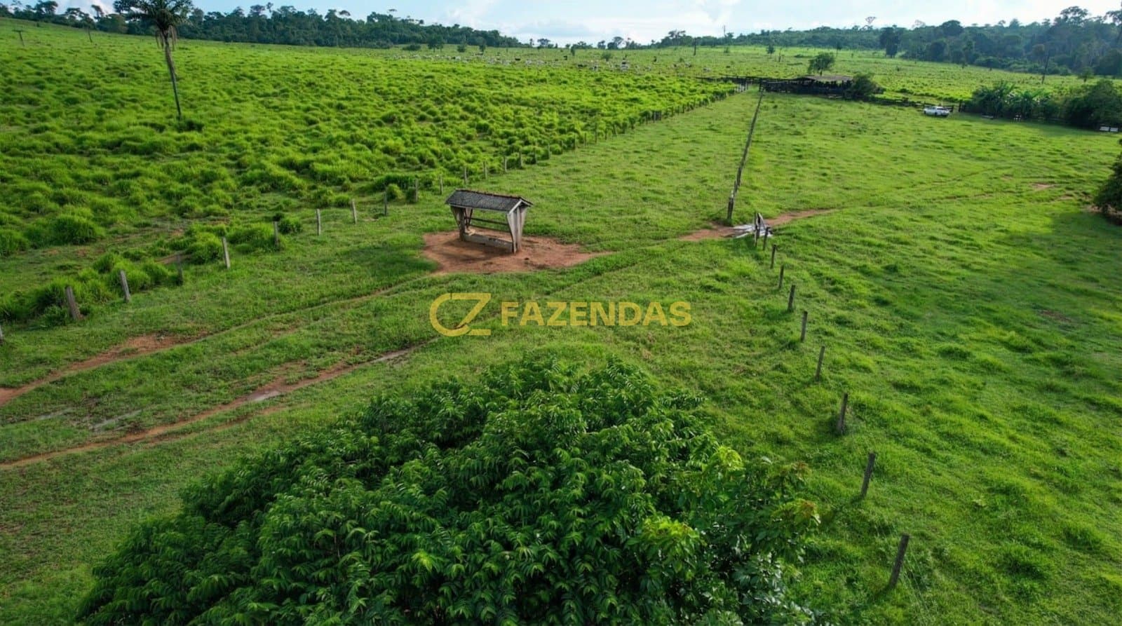 Fazenda em Apiacás - Foto 5