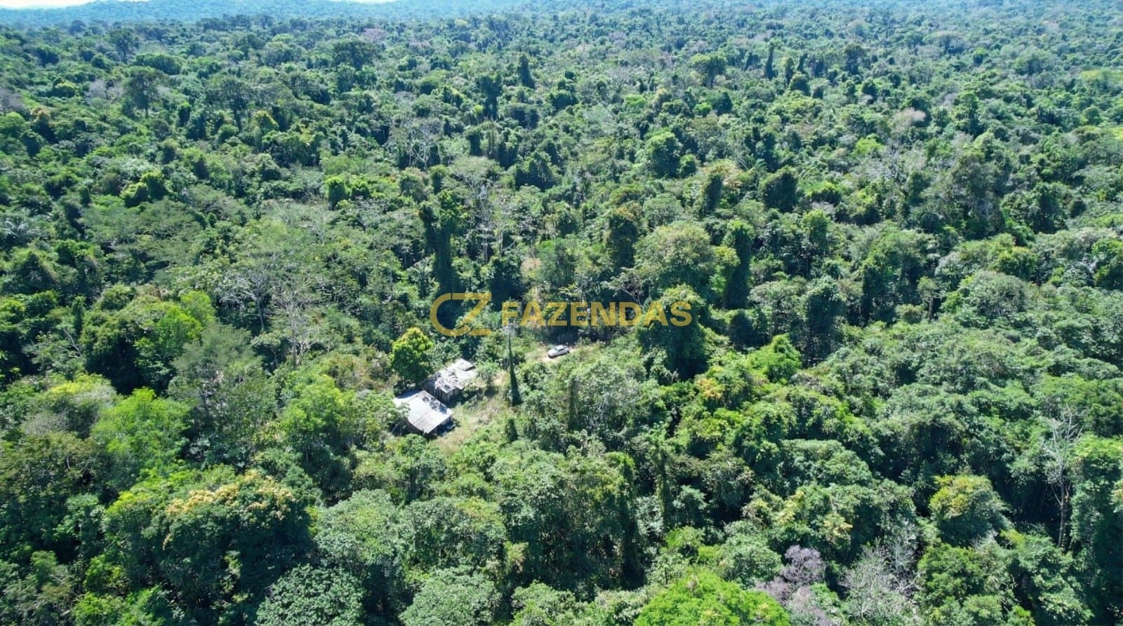 Fazenda de Mata em Apiacás