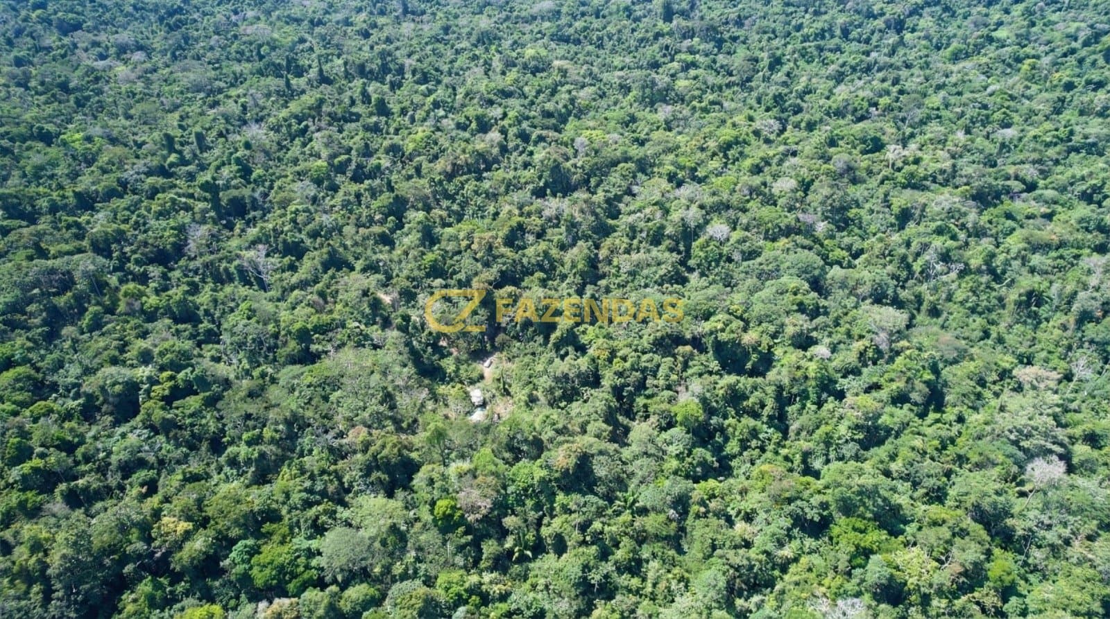 Fazenda de Mata em Apiacás - Foto 2