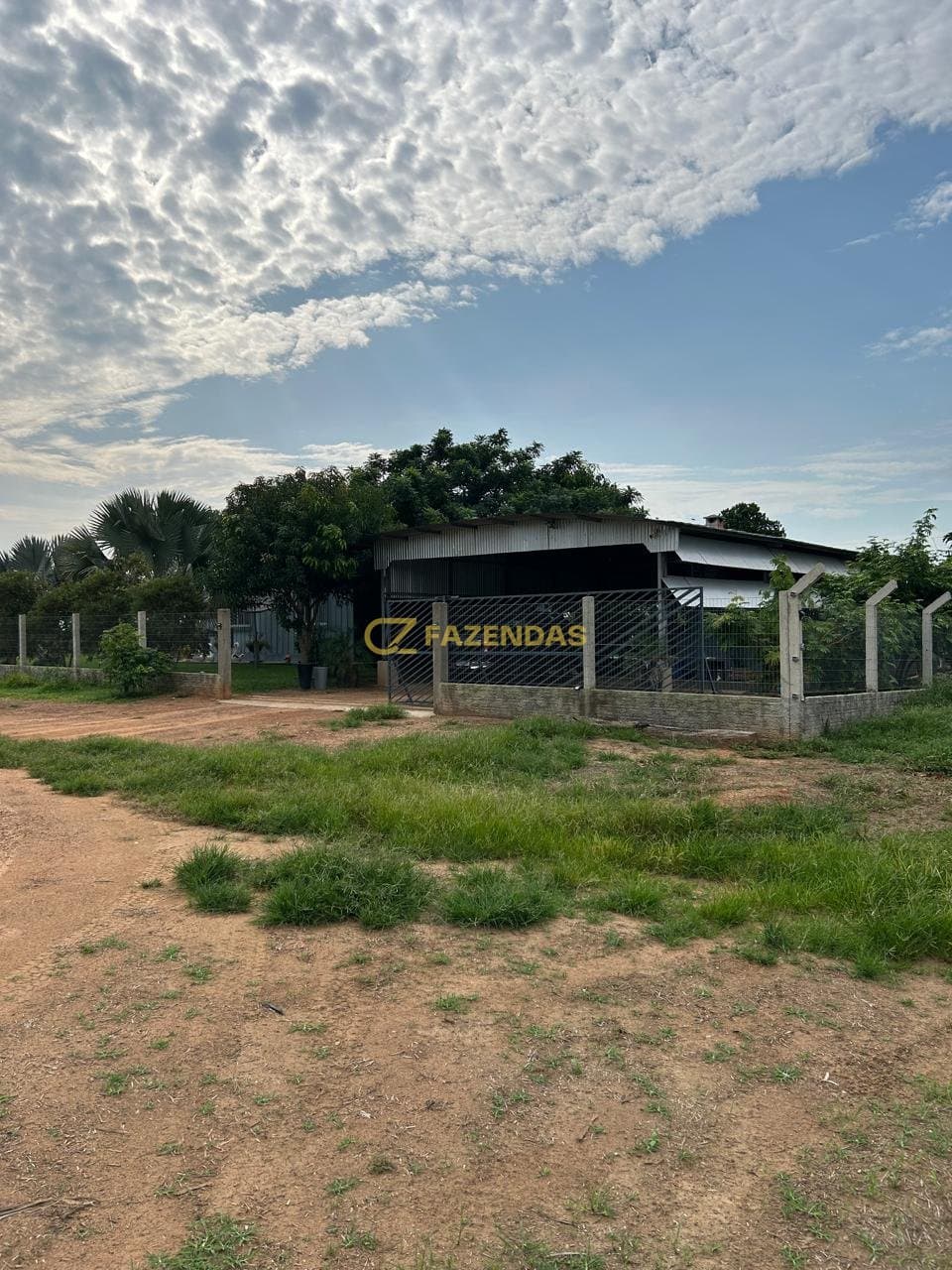 Fazenda Monte Verde - Lavoura - Foto 3