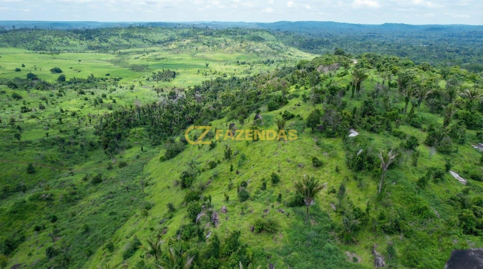Fazenda em Nova Monte Verde