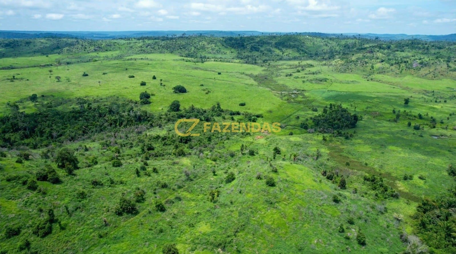 Fazenda em Nova Monte Verde - Foto 4