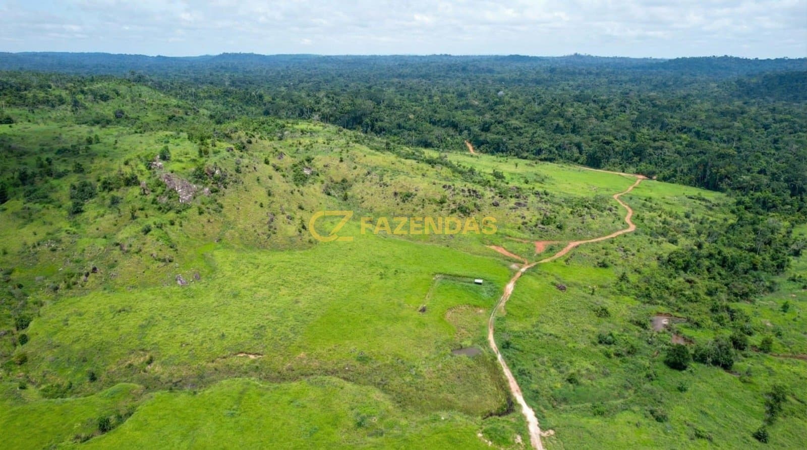 Fazenda em Nova Monte Verde - Foto 5