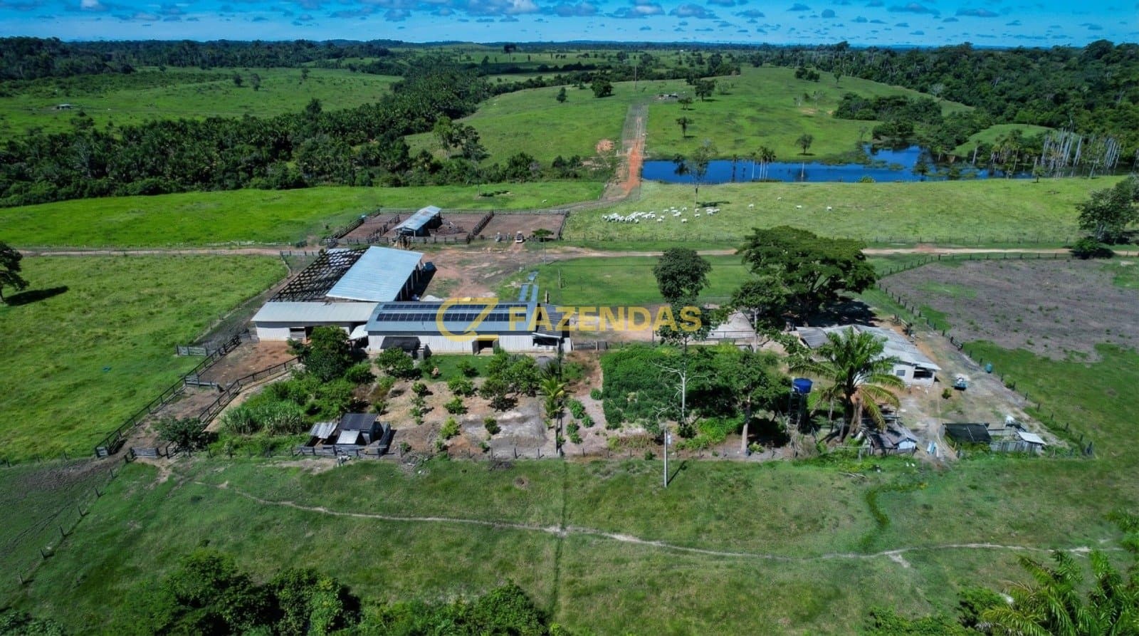 Fazenda Paranaita - Foto 4