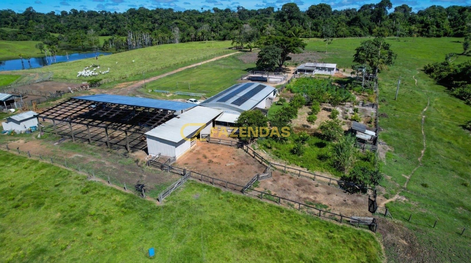 Fazenda Paranaita - Foto 5