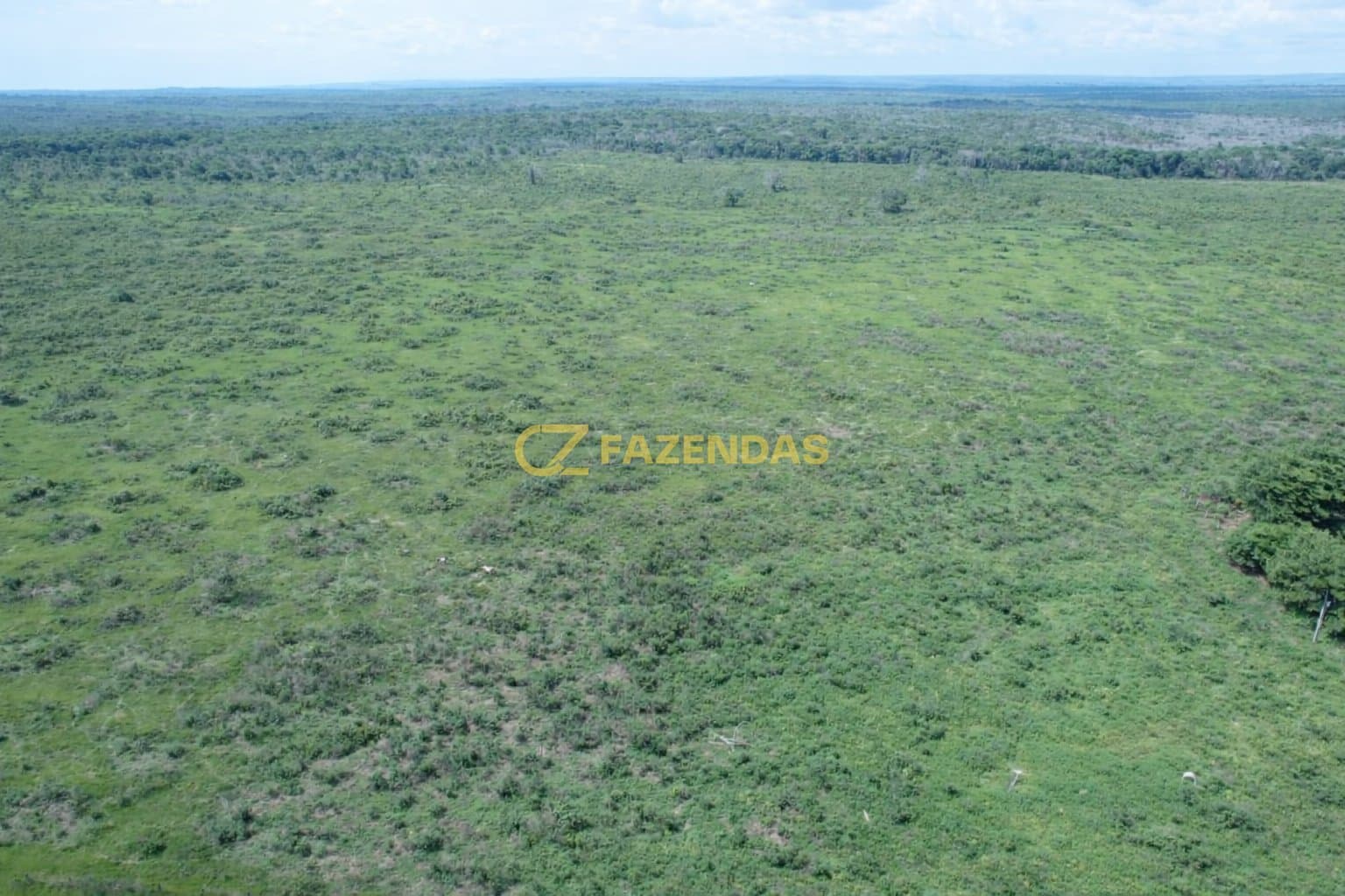 Fazenda em Tabaporã - Canaã