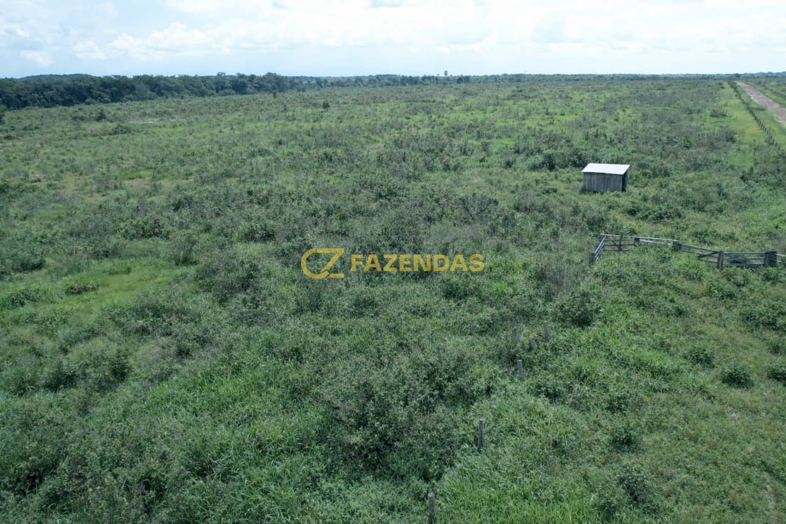 Fazenda em Tabaporã - Canaã - Foto 3