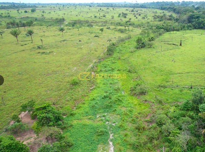 Fazenda em Juara - Pasto