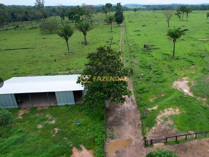 Fazenda em Juara - Pasto - Foto 3