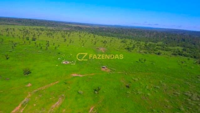 Fazenda em Colniza