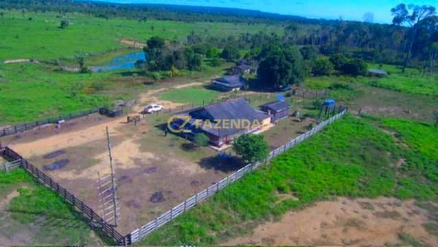 Fazenda em Colniza - Foto 2