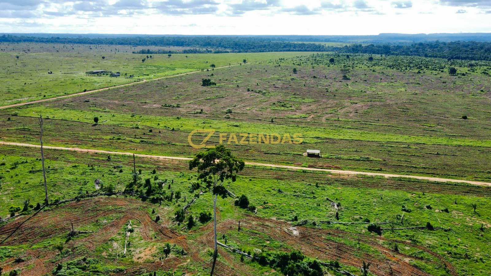 Fazenda em Colniza - Foto 3